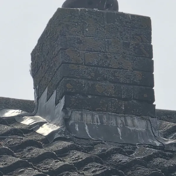 Project image 1