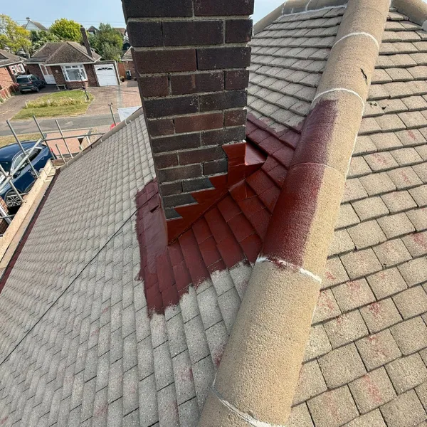 Project image 10