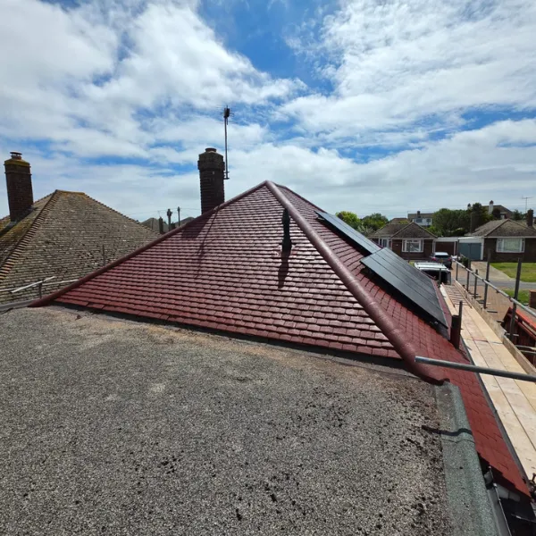 Project image 13