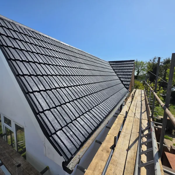 Project image 8