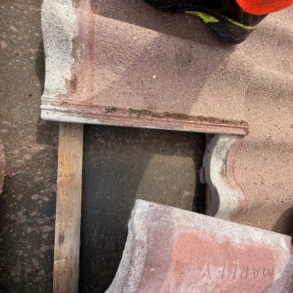 Project image 3