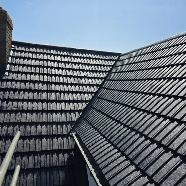 Project image 11