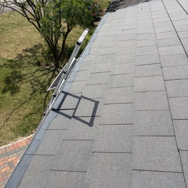 Project image 6