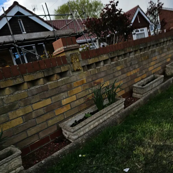 Project image 1