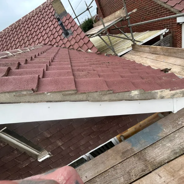 Project image 9
