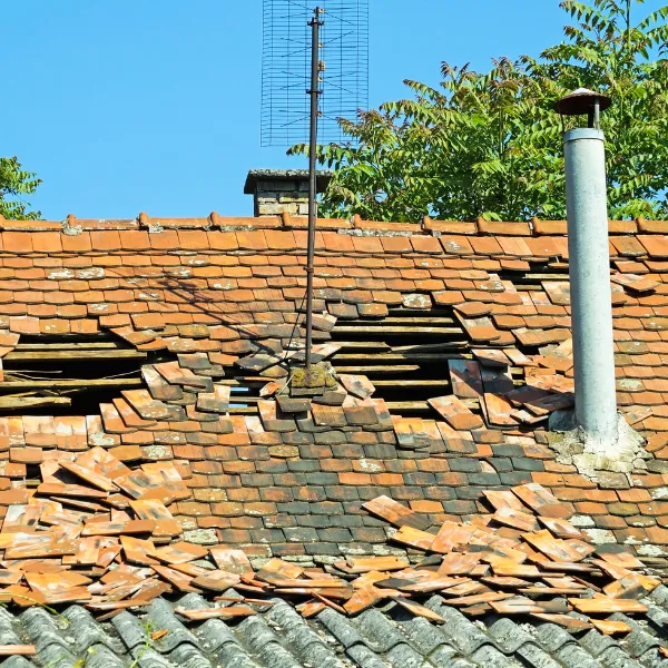 Roof Repair. Rubber roof, slate roof and more