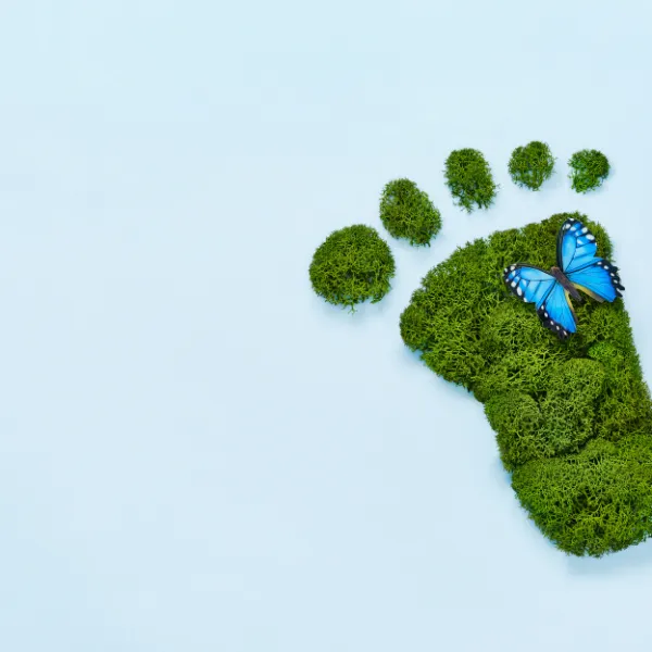 ProPERLA Approved Applicator